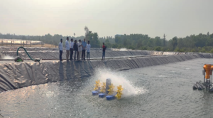 Secretary of Fisheries Explores Innovations in Shrimp Farming during Visit to Kalinga Pattinam